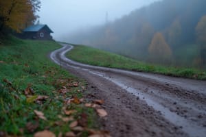 The Long Road Back